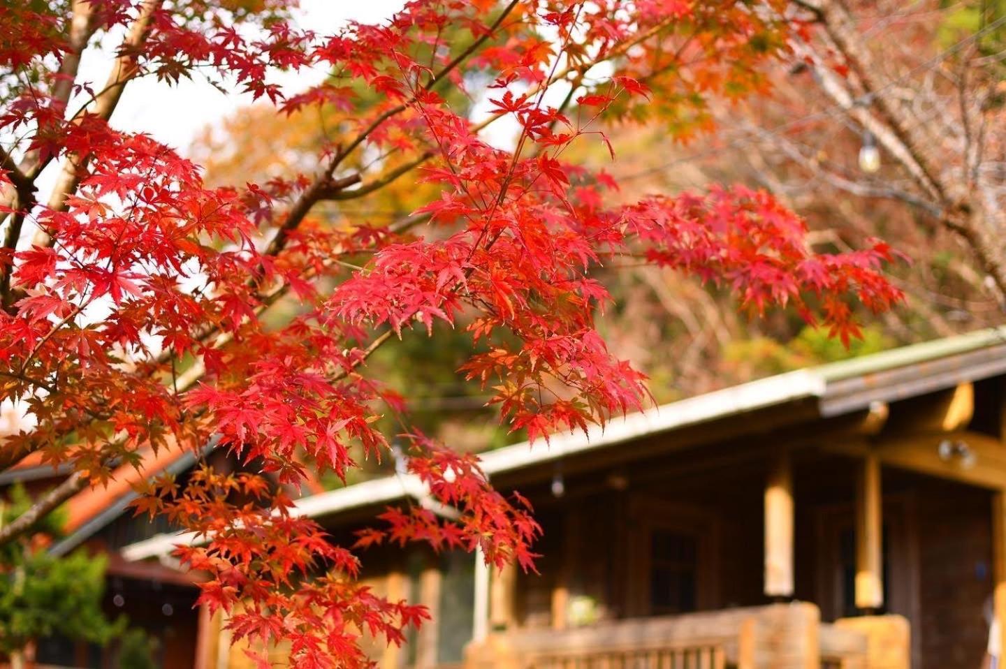 Sunny Side Cottage 시모다 외부 사진