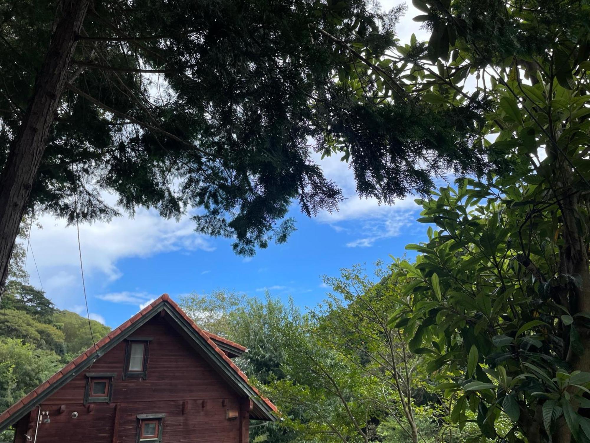 Sunny Side Cottage 시모다 외부 사진
